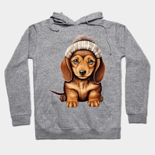 Winter Dachshund Dog Hoodie